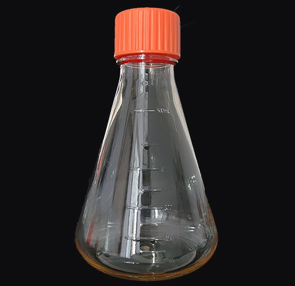 Erlenmeyer Flasks